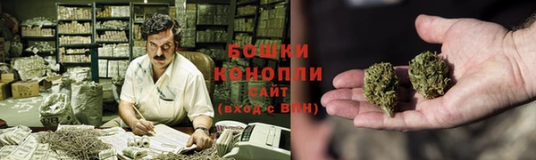 твердый Елабуга