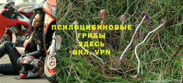 ГАЛЛЮЦИНОГЕННЫЕ ГРИБЫ Балахна