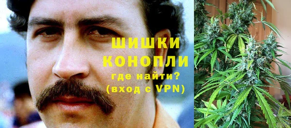 эйфоретик Ельня