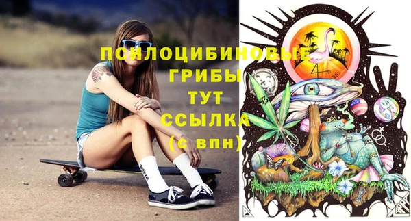 a pvp Богородицк