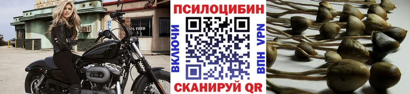 Галлюциногенные грибы Magic Shrooms  где можно купить   Заволжск 